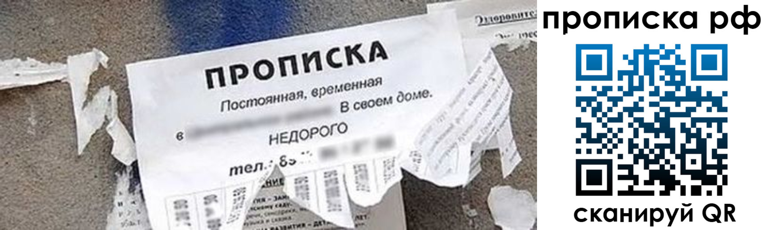 где прописаться в Осташкове